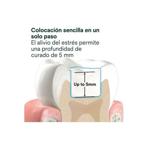 Resina Bulk Fill 3M Filtek One para restauraciones posteriores con curado de hasta 5 mm